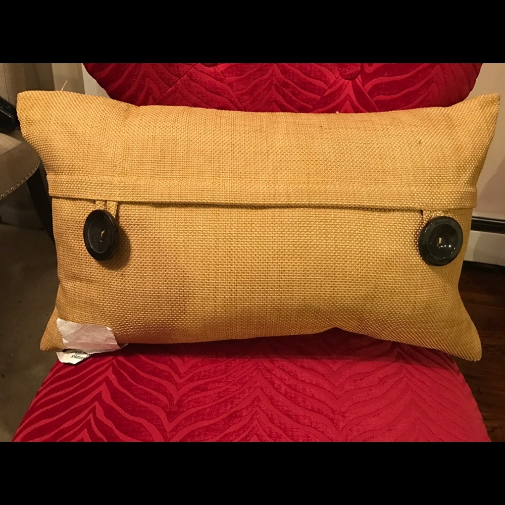Brand New Pillow from HOME GOODS